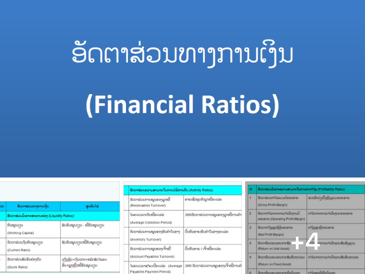 ອັດຕາສ່ວນທາງການເງິນ (Financial Ratios)