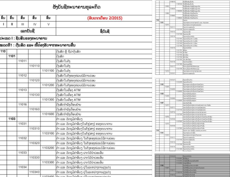 ຜັງບັນຊີ ທະນາຄານທຸລະກິດ